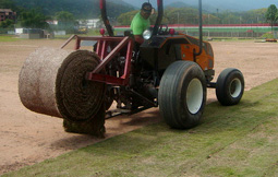 Plantio de Big Rolo com Trator